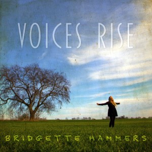 bridgette hammers- voices rise